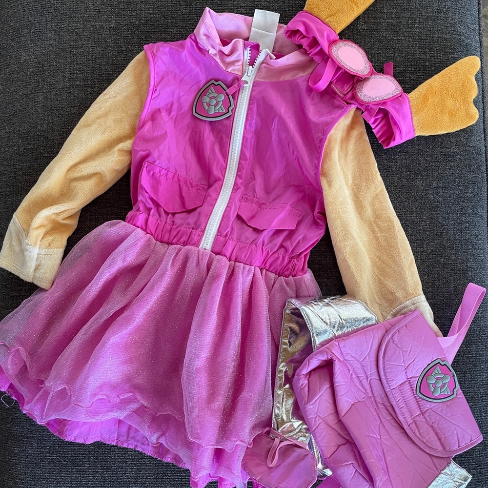 Paw Patrol Skye Costume 3T-4T